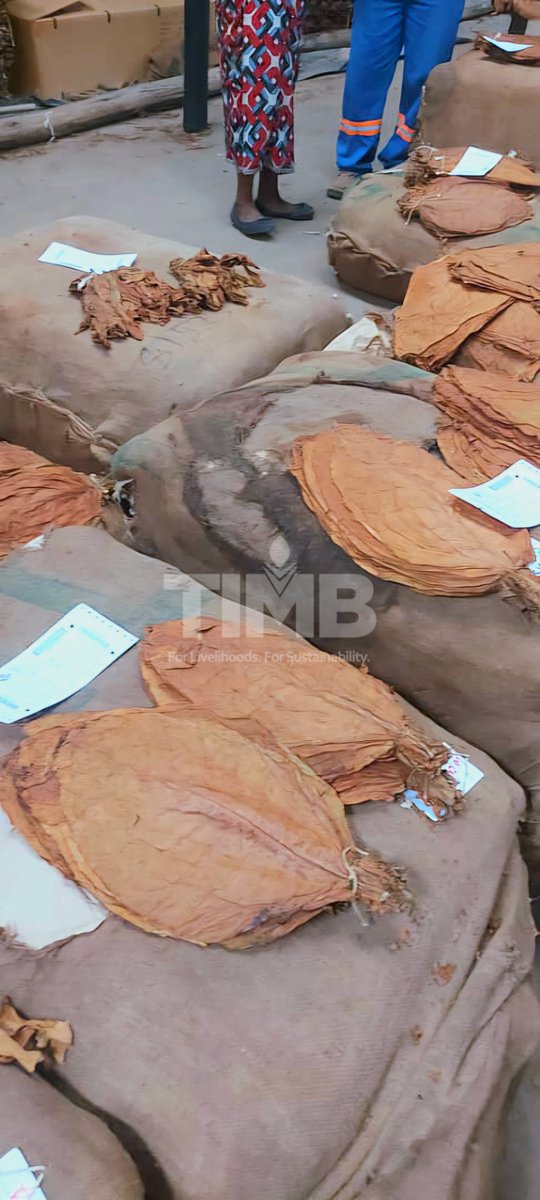 Tobacco Industry & Marketing Board tweet media