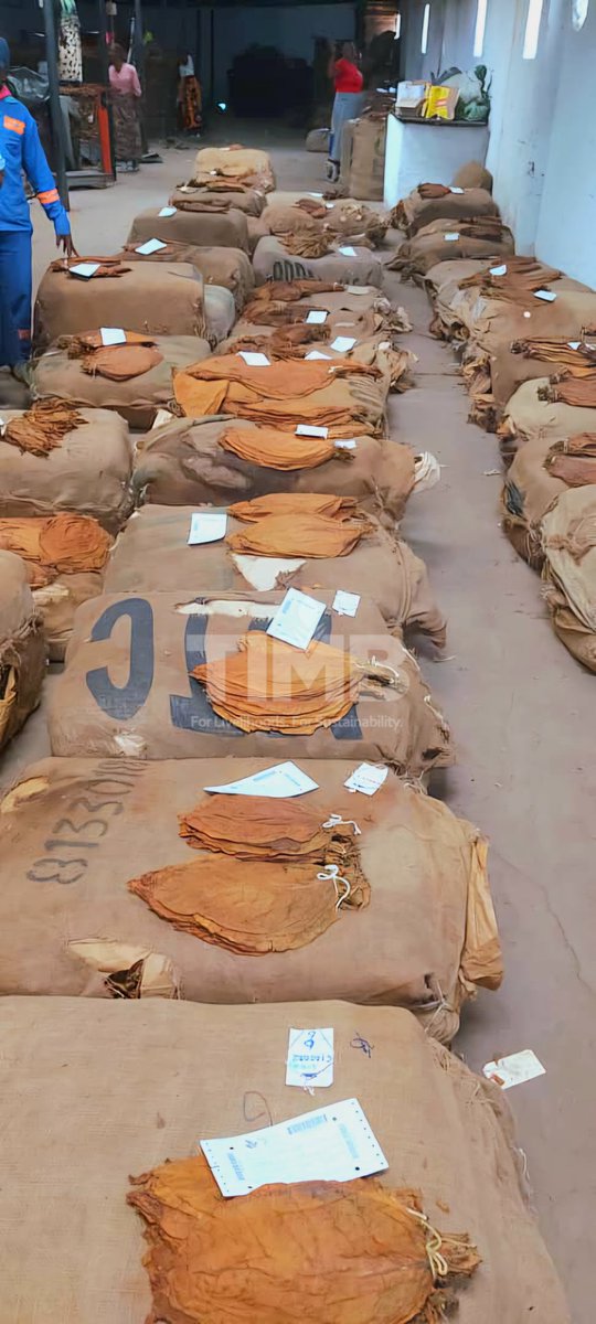 Tobacco Industry & Marketing Board tweet media