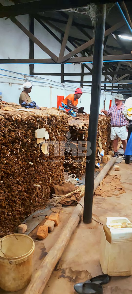 Tobacco Industry & Marketing Board tweet media