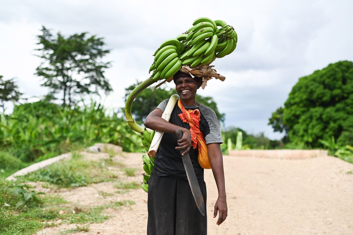 At Mucho Mangoes Ltd, our farmers and staff are our greatest, most treasured assets!

When they are happy, we are happy too!