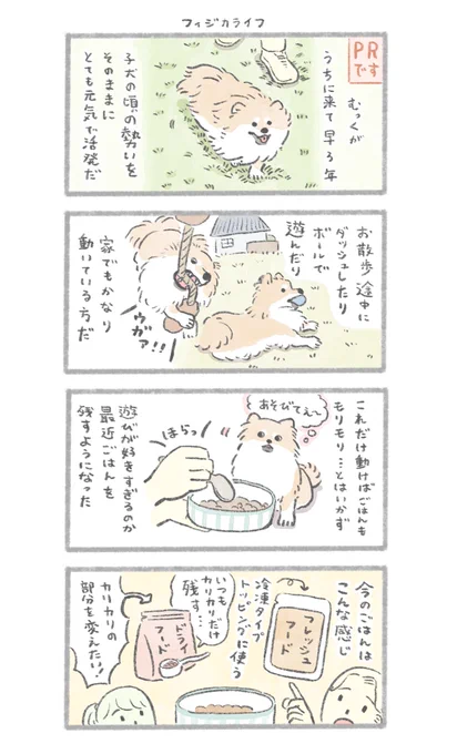 いつまでも元気に走り回ってほしい、いぬよ...

#PR #ユニ・チャームペット #フィジカライフ

詳細: https://t.co/AXiqIF10Lh 