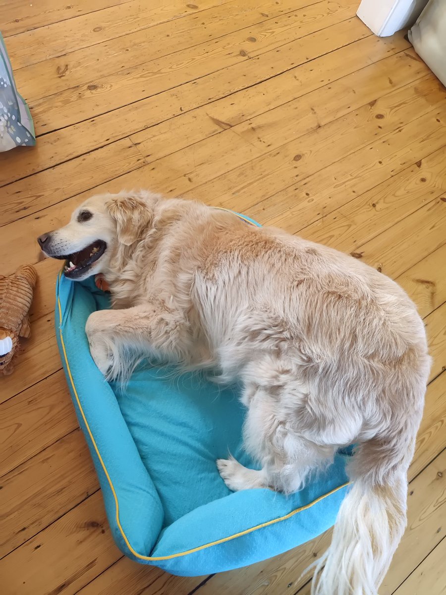 Time for silly buggers.