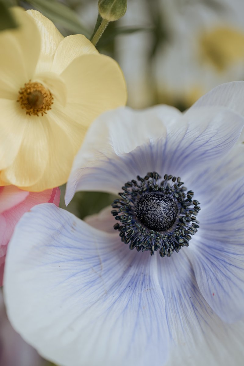 London Victorian Ring Co tweet media