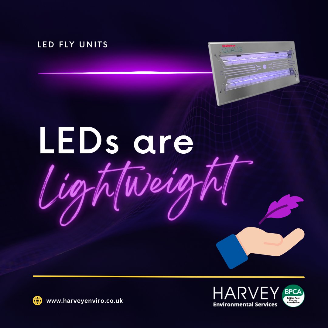 harveyenviro's tweet photo. Why would I change my fly killer units to LED? 

The lightweight nature of LEDs facilitates easier installation and repositioning of the fly killer unit. Mounting or hanging becomes safer and more convenient.

#LEDtechnology #pestcontrol #flykillers #protectyourbusiness https://t.co/EyD8MpI6ID