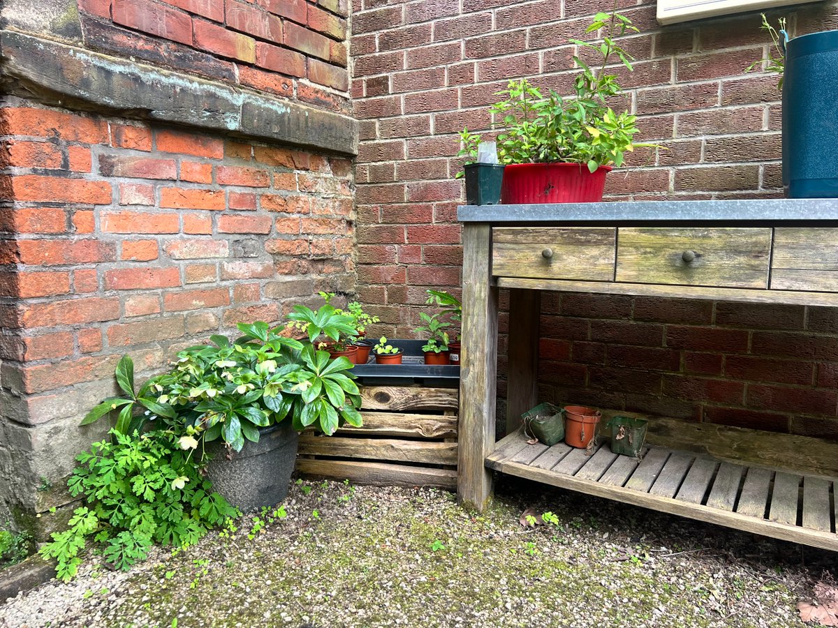 Derby Museums tweet media