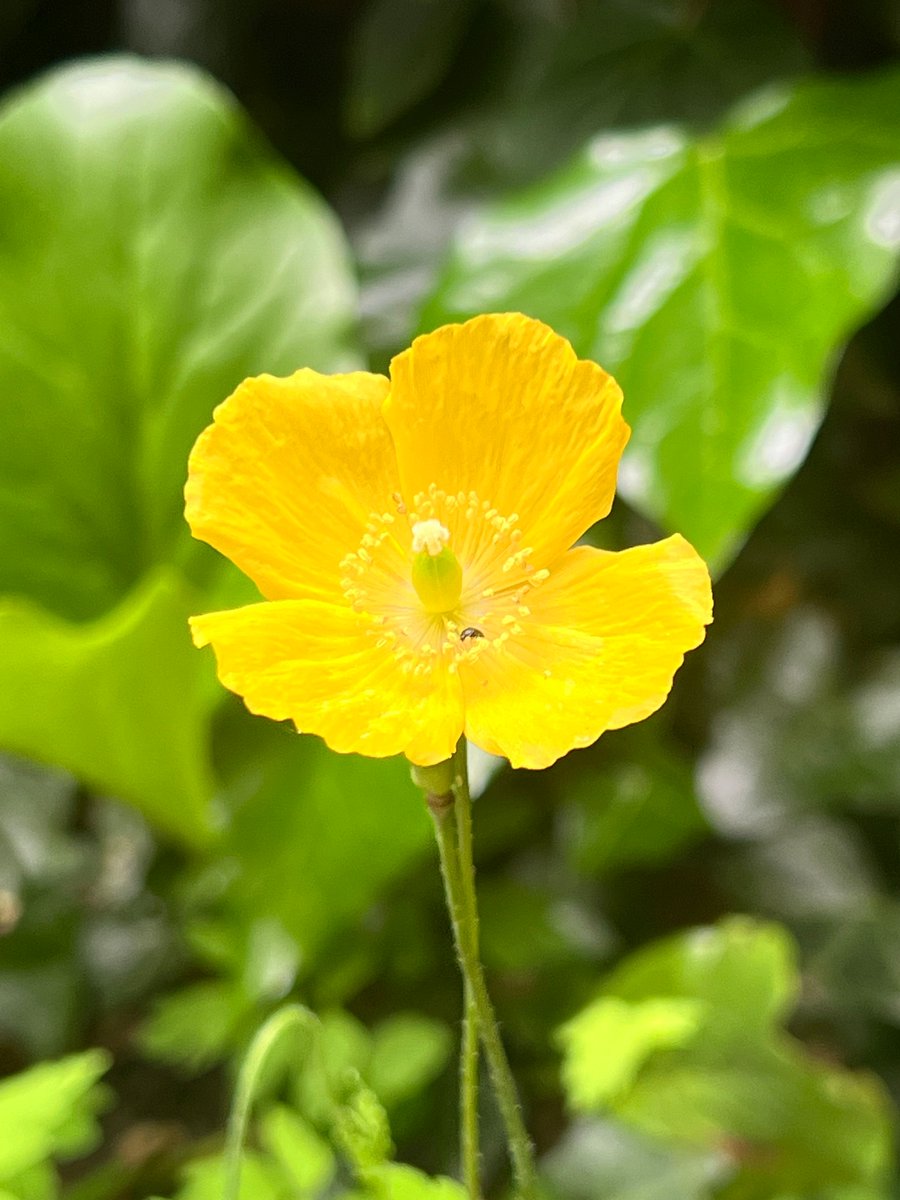 Derby Museums tweet media