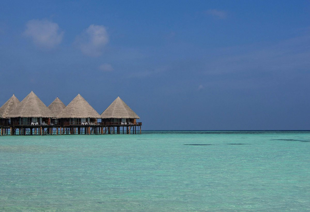 bthetravelbrand's tweet photo. Si has hecho un break para entrar a X, aquí estamos nosotros para distraerte con fotos de #Maldivas 🌴. Así te alegramos un poco la vista😍 #Btravel https://t.co/MNlw2dCLyU