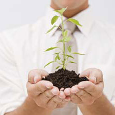 Costaisa tweet media