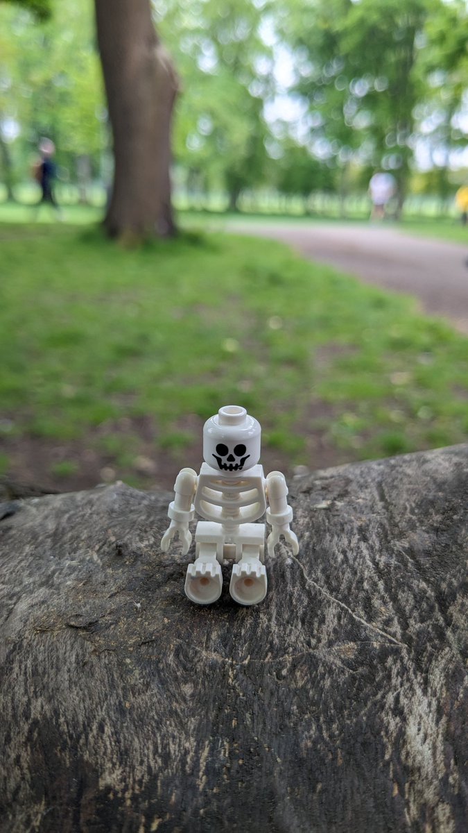 TeviotPlace's tweet photo. #MuseumWeekMW #UrbanNatureMW Our mini skeletons from our 'Skeleton Trail' rarely get out the museum, but when they do, they have plenty of #UrbanGreenSpaces to choose from including #GeorgeSquareGardens, #TheMeadows and #GreyfriarsKirkyard https://t.co/e0KGz6ZJ0C