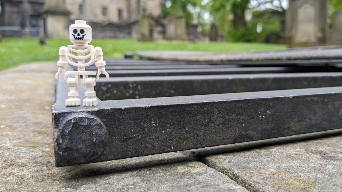 TeviotPlace's tweet photo. #MuseumWeekMW #UrbanNatureMW Our mini skeletons from our 'Skeleton Trail' rarely get out the museum, but when they do, they have plenty of #UrbanGreenSpaces to choose from including #GeorgeSquareGardens, #TheMeadows and #GreyfriarsKirkyard https://t.co/e0KGz6ZJ0C