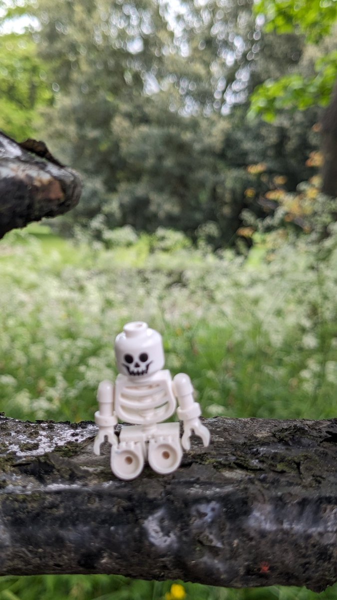 TeviotPlace's tweet photo. #MuseumWeekMW #UrbanNatureMW Our mini skeletons from our 'Skeleton Trail' rarely get out the museum, but when they do, they have plenty of #UrbanGreenSpaces to choose from including #GeorgeSquareGardens, #TheMeadows and #GreyfriarsKirkyard https://t.co/e0KGz6ZJ0C