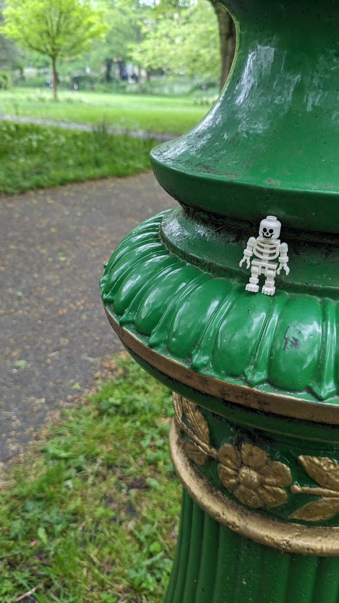 TeviotPlace's tweet photo. #MuseumWeekMW #UrbanNatureMW Our mini skeletons from our 'Skeleton Trail' rarely get out the museum, but when they do, they have plenty of #UrbanGreenSpaces to choose from including #GeorgeSquareGardens, #TheMeadows and #GreyfriarsKirkyard https://t.co/e0KGz6ZJ0C