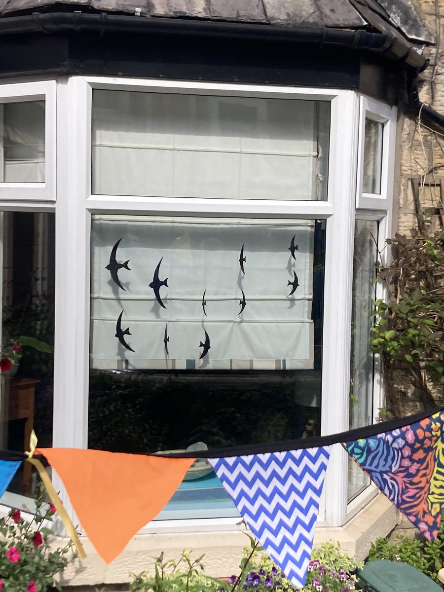 LancasterSwifts's tweet photo. Lancaster Swifts Charter taking place on Grasmere Road #swifts https://t.co/1udKmLfyPI