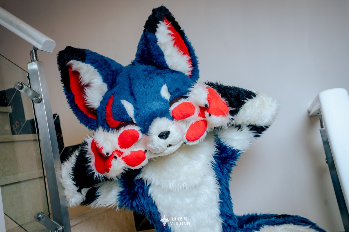 汪汪
📸：<a href="/YuLong_QWQ/">馭龍</a>