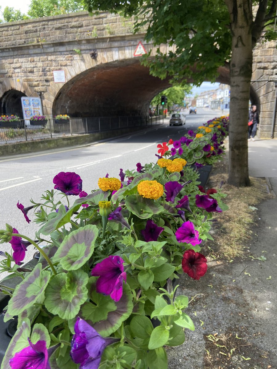 The barrier boxes in Harrogate town centre look absolutely beautiful, bright &amp; welcoming - thank you <a href="/BidHarrogate/">Harrogate BID</a> 

#shoplocal #Harrogate #supportourindies #harrogatebusiness #qualityservice #community #harrogatebusiness #proudtobetown #visityorkshire