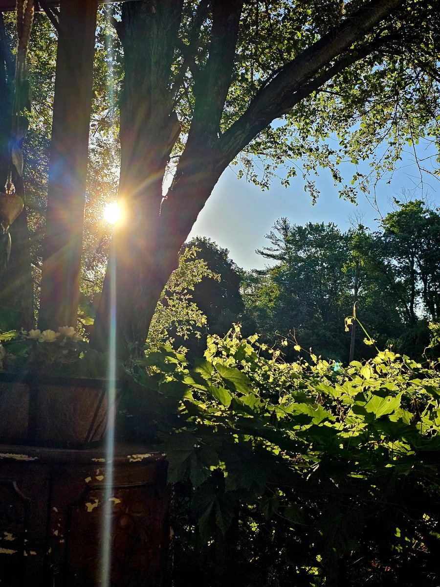 jentimbs's tweet photo. @jsparkblog For all the times you've given light, I reflect it back at you tenfold. I see you. Rest. Inhale...hold...exhale. ❤️ https://t.co/nYKGbVCa61