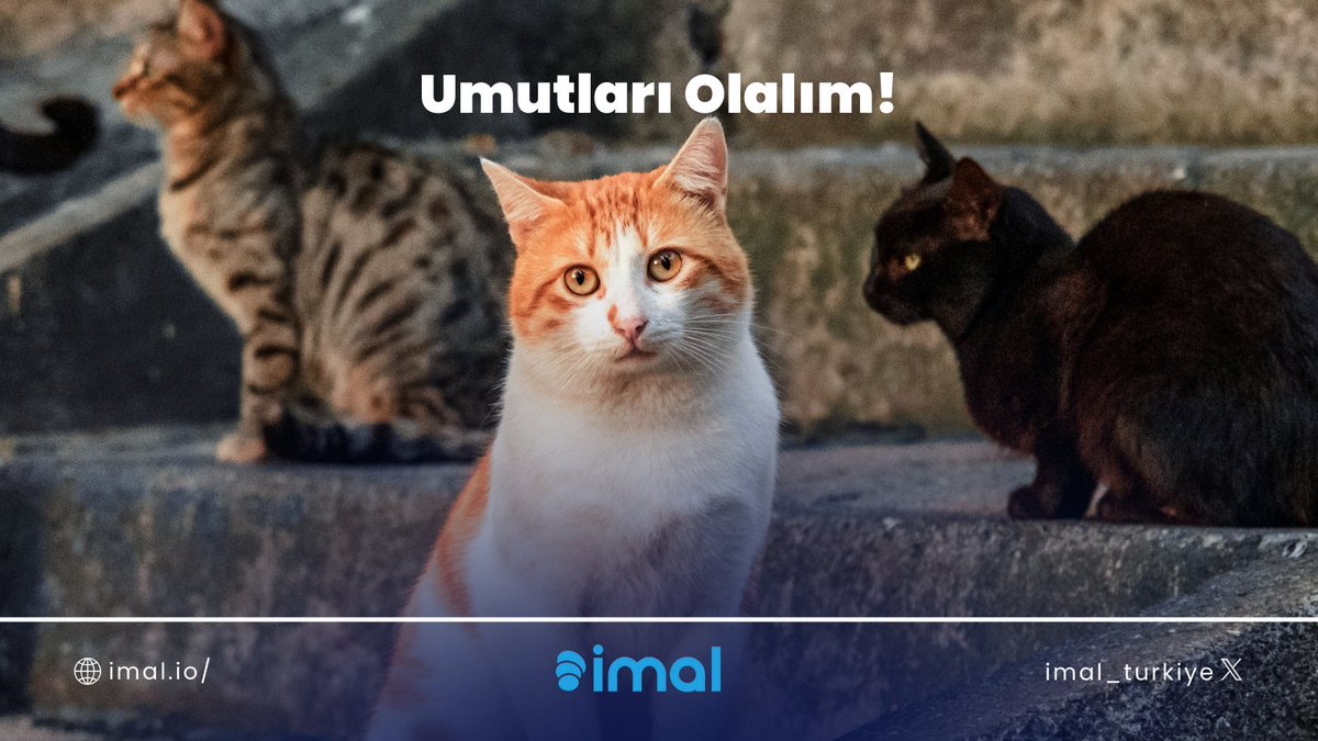 imal_turkiye's tweet photo. Birlikte umutları olalım; çünkü sevgi ve şefkat paylaşıldıkça çoğalır. ❤️🐶
#IMALProjesi #hayvansevgisi #birliktehayvanlariçin #umutol #sevgipaylaş #imal https://t.co/vAGpSHhdxy