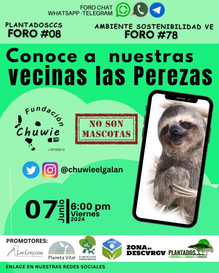 En parques, y áreas verdes de Caracas viven las Perezas, no son peligrosas y no son mascotas...Este Foro con la Fundación Chuwie podrás conocer detalles de sus habitos cotidianos