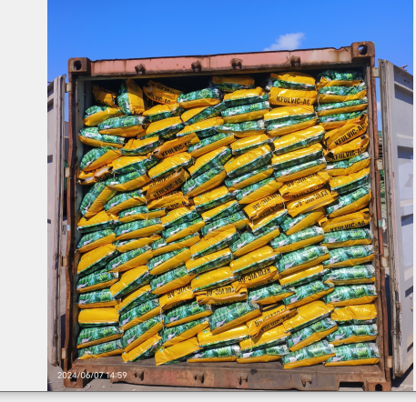 LvShengda's tweet photo. The goods arrived the port and were loaded into containers. #Khumic has an annual production capacity of more than 200,000 tons, help you seize the market ASAP! https://t.co/ZeuDVLXBaE
📲8618503872723📨Melisa@khumic.com
#humicacid #fulvicacid #organicfertilizer #biostimulant #npk https://t.co/CRX2wgdRxp