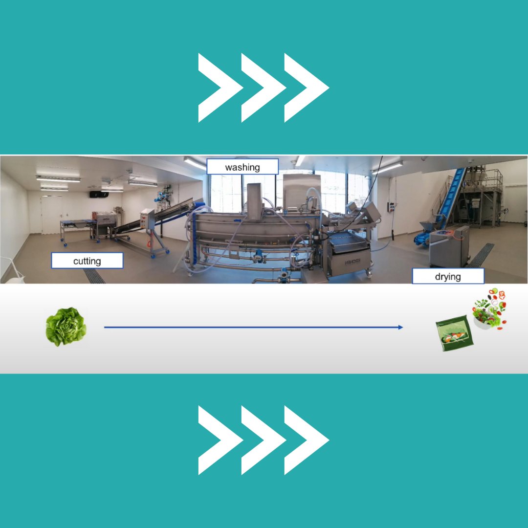 FbwUGent's tweet photo. If you want to optimize the production processes of your vegetables, contact Veg-i-Tec and work together to improve your business! 

👉Discover how in the episodes on https://t.co/PRagWbOkhS

@ImcaSampers https://t.co/48IBUYYnAn