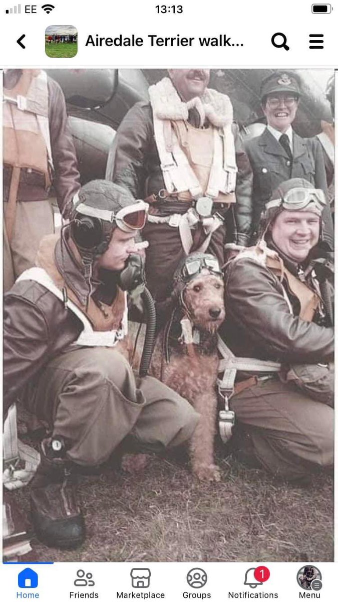 We also served
#DDay80
🫡