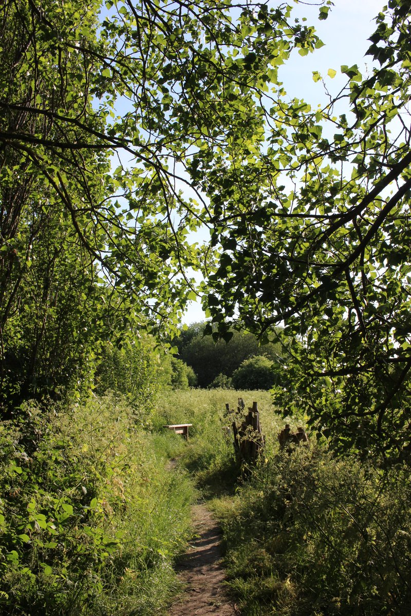Walks In Camera 🇺🇦 tweet media