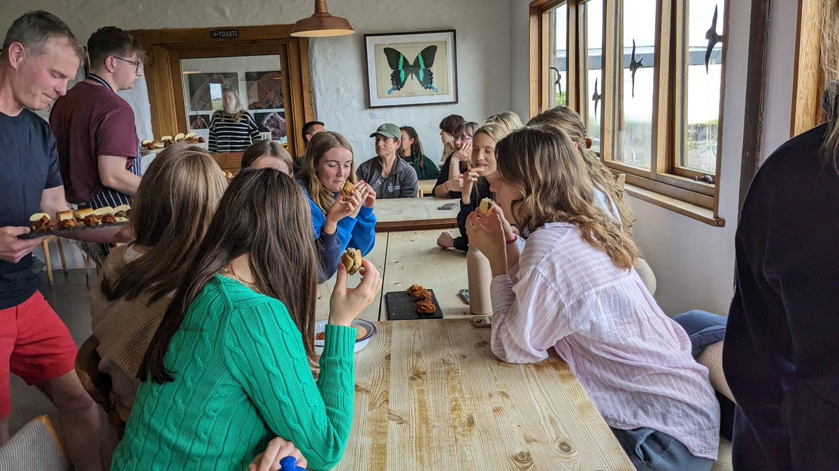 FelstedIB tweet media