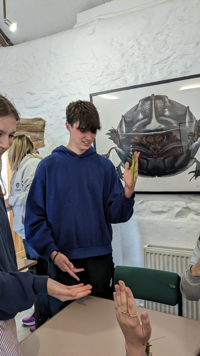 L6 IB have safely arrived in St David's for their CAS trip. Evening at the bug farm and on the beach thinking about sustainability. #felstedinspired <a href="/FelstedSchool/">Felsted School</a>