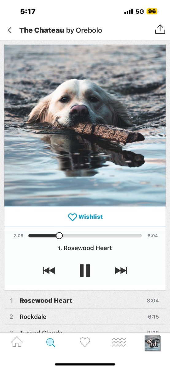Essau1969's tweet photo. #FridayMorning #Orebolo πΆπ#RosewoodHeart π«Ά#TGIF LFG!!βοΈ https://t.co/FVUCNTWpuo