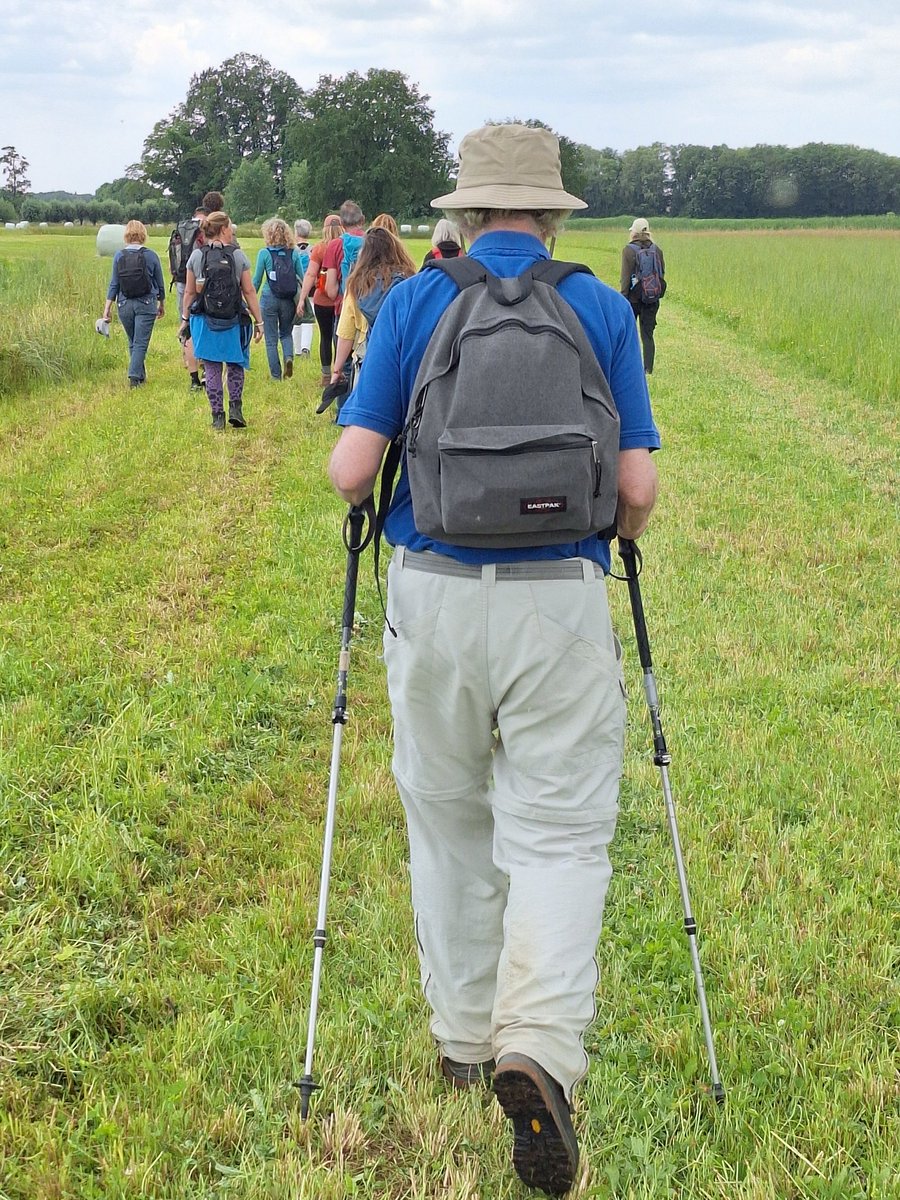 Anne van Kuijk tweet media