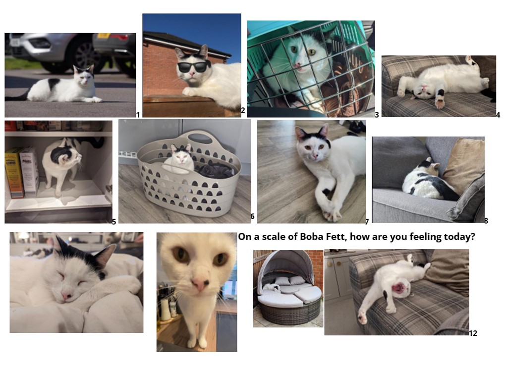 ALDinHE and LearnHigher tweet media