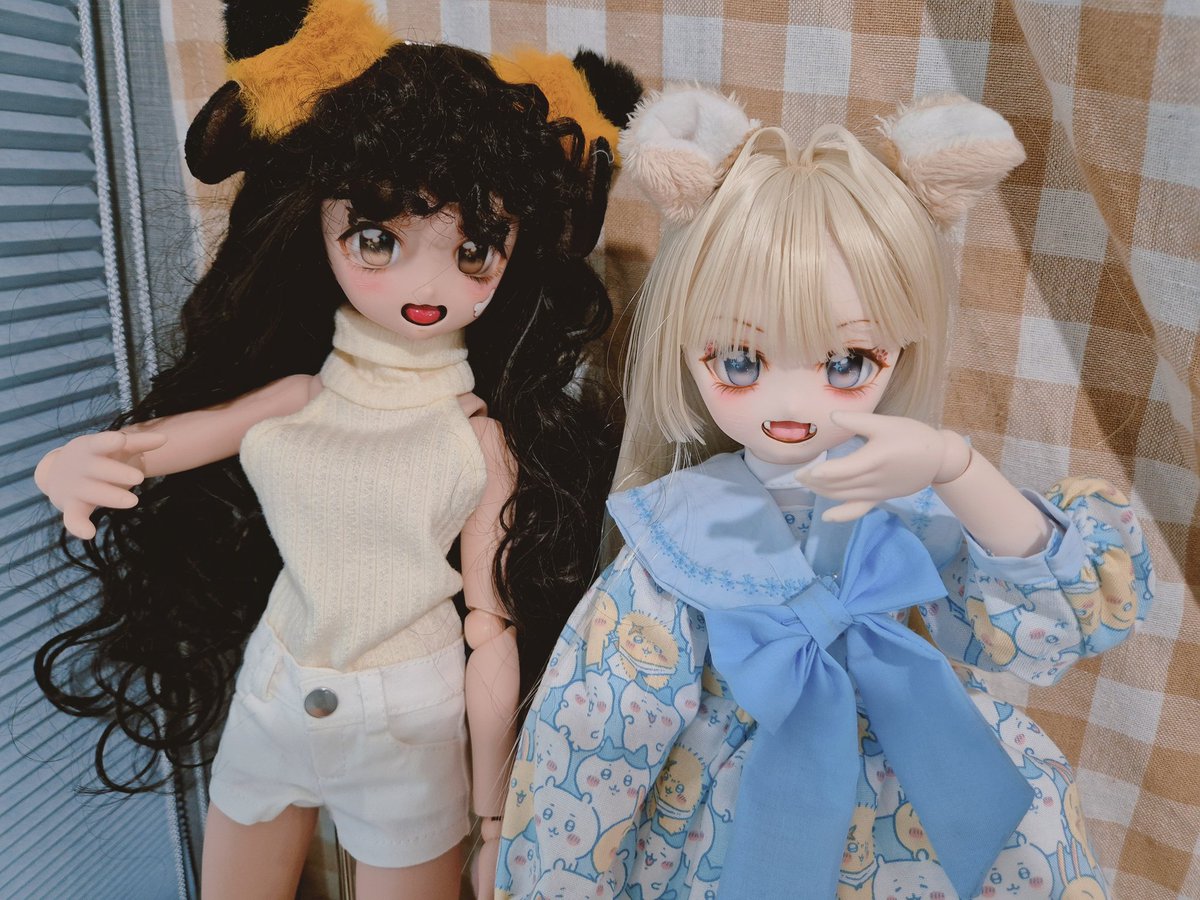 umimachi_ko's tweet photo. 곰탱두콩 빠밤
#우리애귀여워 #MDD좋아요 #nanolab
#うちのこかわいい #MDDはいいぞ https://t.co/fvqJQBgfTz