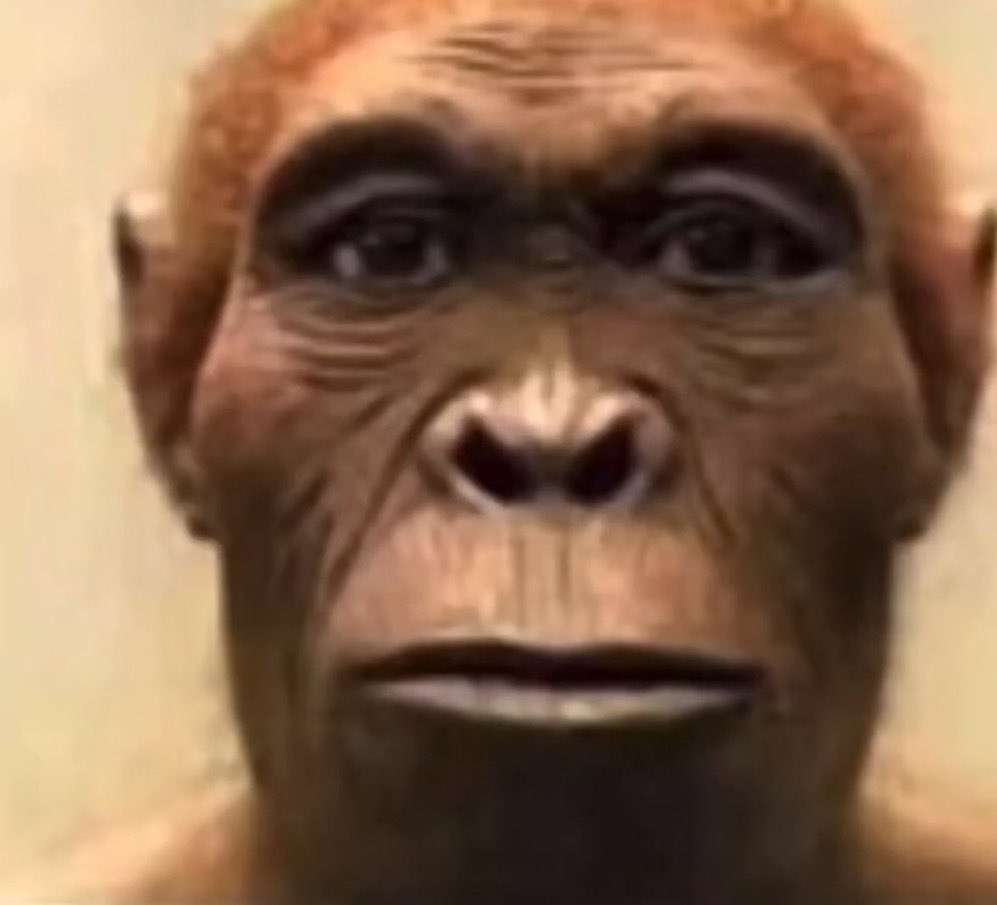 Bonjour <a href="/DrAkarTTFL2/">DrAkar TTFL 2.0</a>