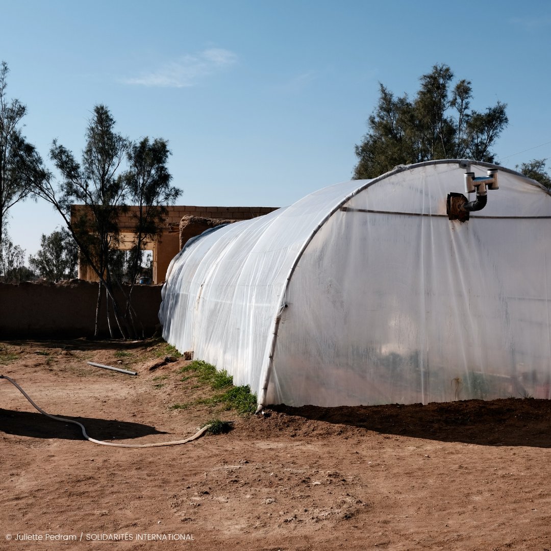 Solidarites_Int's tweet photo. Dans le Nord-Est de la #Syrie, à #Markada, les équipes de @Solidarites_Int ont installé des serres et ont formé les habitants à leur entretien afin d'améliorer leur sécurité alimentaire sur le long terme. ✅🍅🍆🥬 https://t.co/aOxx7ARlQ5