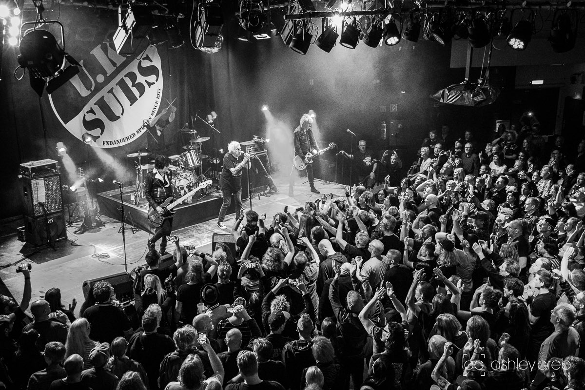 U.K. Subs - Time & Matter tweet media