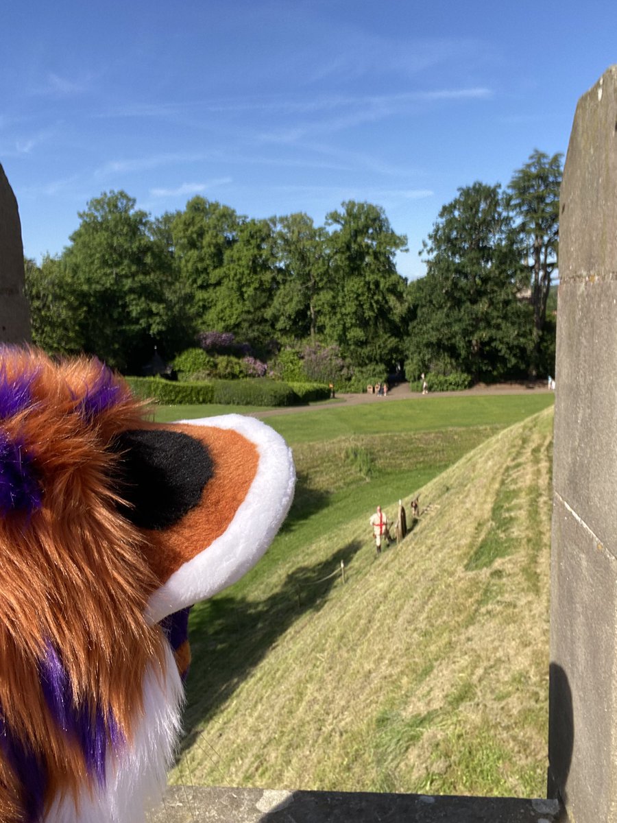 RAWR!!! My First #FursuitFriday!! Now do I chase the man??