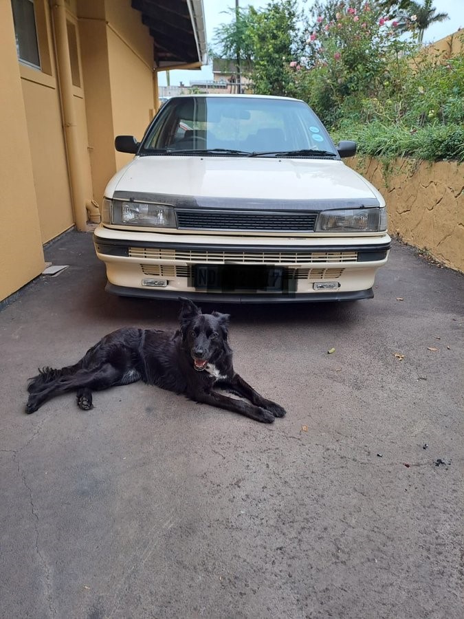 deshneecm's tweet photo. @5FM My current ride does not have  power steering OR electric windows OR digital  features eg. the 340G radio with SD, USB, Bluetooth, App-Connect  It does have oil leaks , everlasting maintenance issues , petrol gauge fault and fraying carseats  #ShouldaGotaVivo​ #5Drive! 😃 https://t.co/FRI22q6dRh