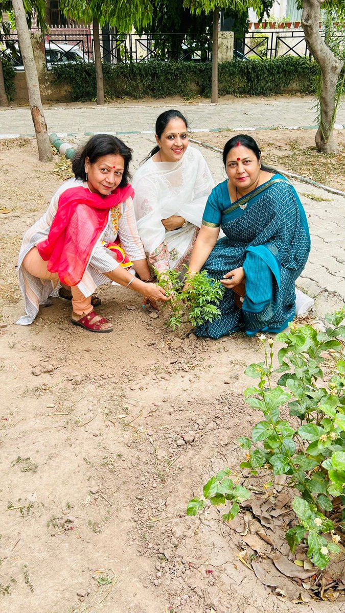 OfNgos's tweet photo. 🌍🎉 #विश्वपर्यावरणदिवस के अवसर पर, हमने साथ मिलकर पंचकुला के सेक्टर 10 के पार्क में एक बड़ा उत्सव मनाया। माननीय लेo जनरल एस के कौशल, श्री हरीश साहनी, सुश्री पूजा अग्रवाल और अन्य महत्वपूर्ण व्यक्तियों के साथ हमने पेड़ लगाने और पर्यावरण संरक्षण के लिए साझेदारी का सम्मान किया। https://t.co/gQH8SvFKbx