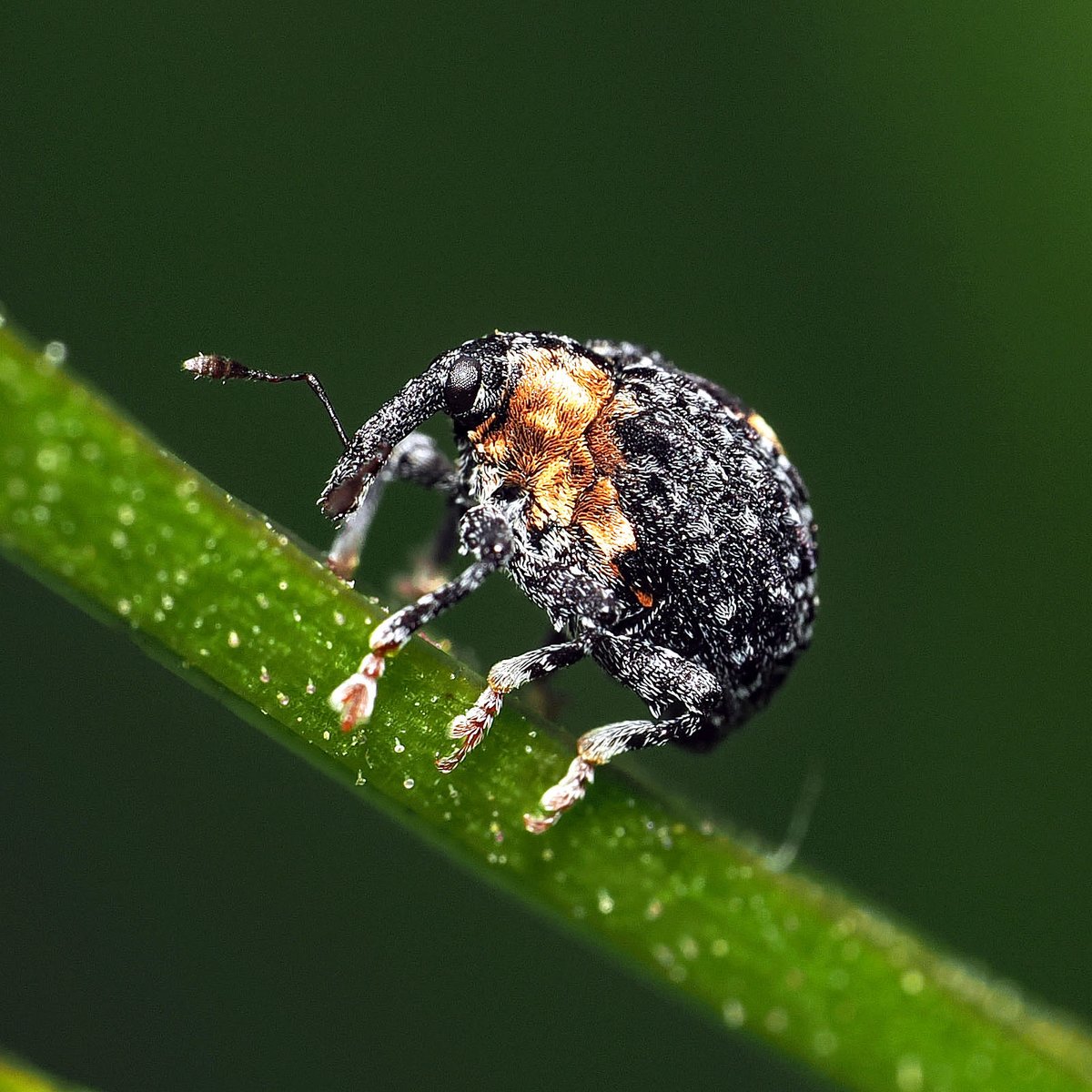 Terry&JudyWood tweet media