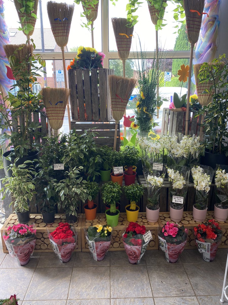 Ken Fraser Florist tweet media