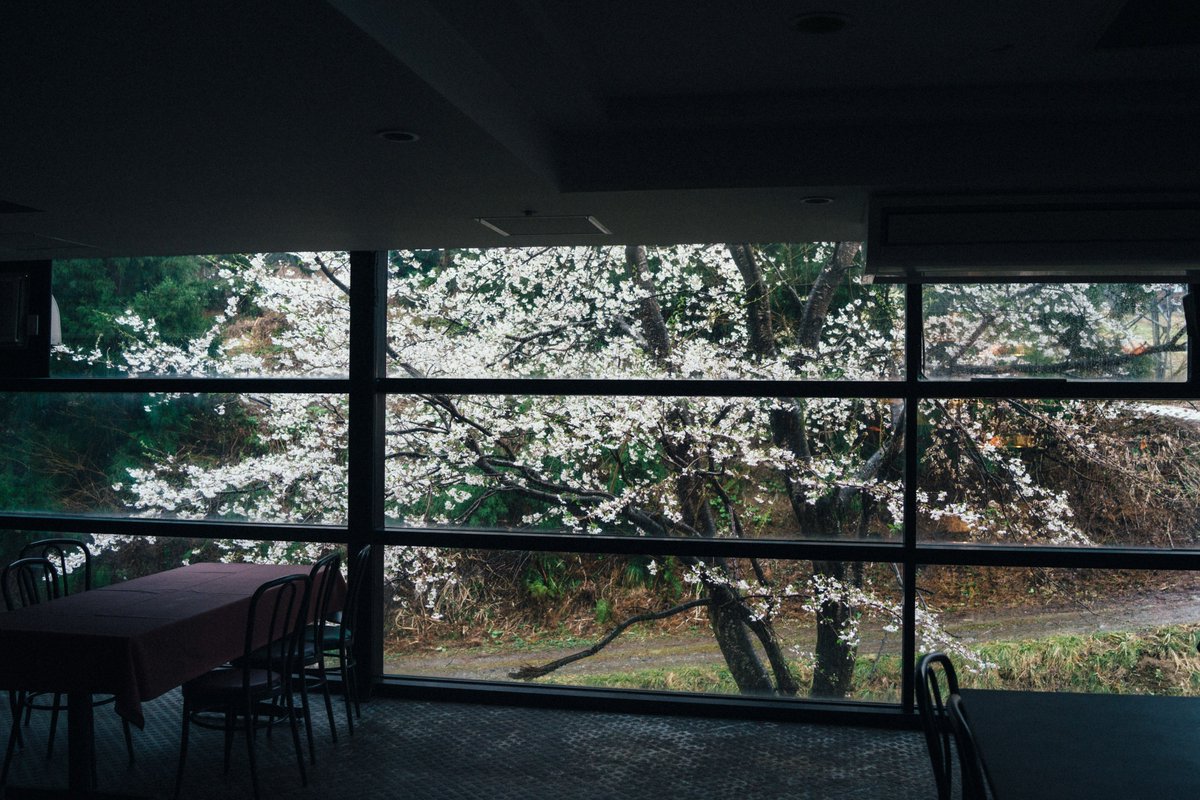 otonashi224's tweet photo. ある日。#記憶 #days #sony #rx1 #springdy #sign #ramen
#sakura https://t.co/YbbmbOg71Q