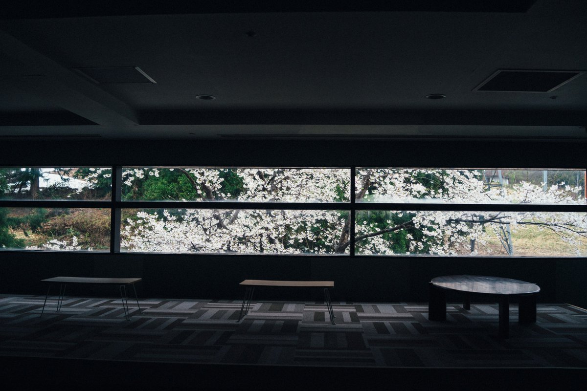 otonashi224's tweet photo. ある日。#記憶 #days #sony #rx1 #springdy #sign #ramen
#sakura https://t.co/YbbmbOg71Q