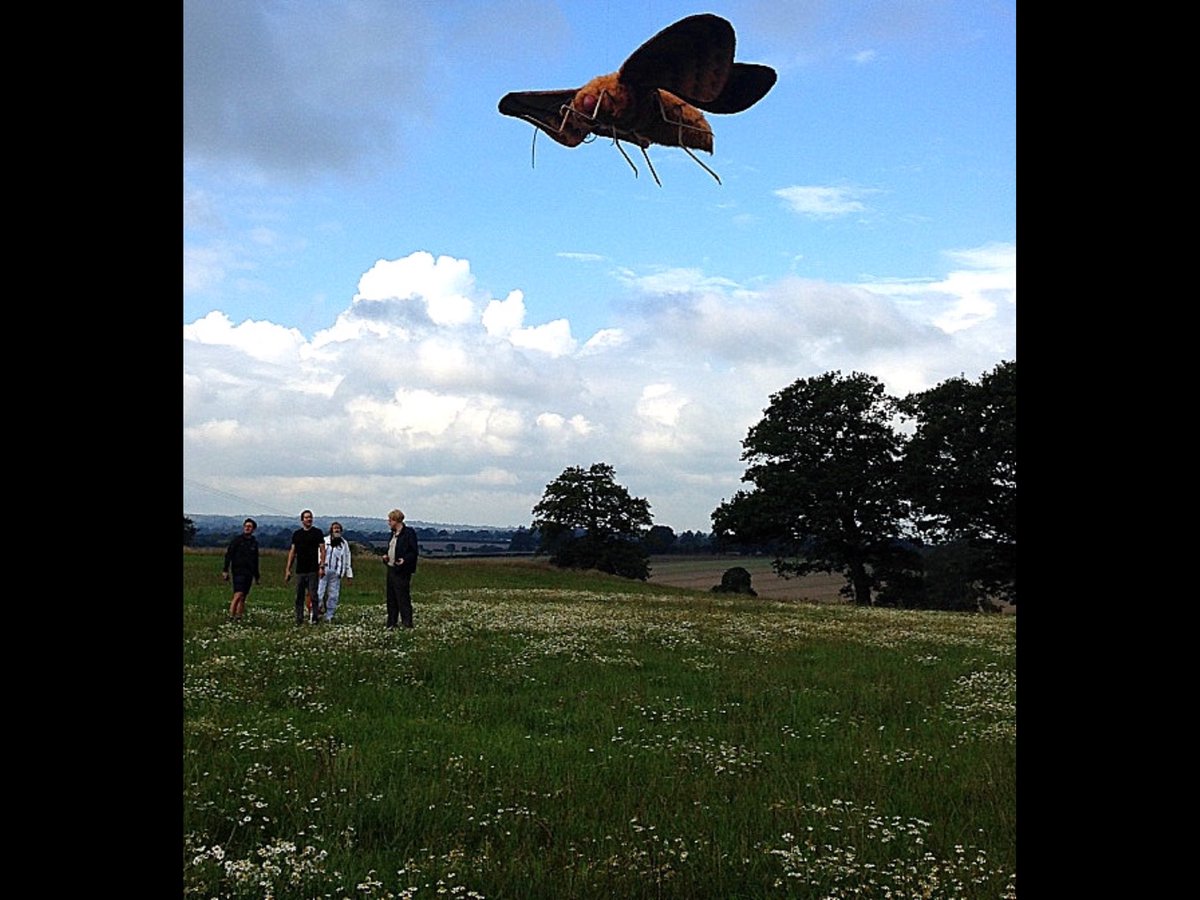 Tim Vine tweet media