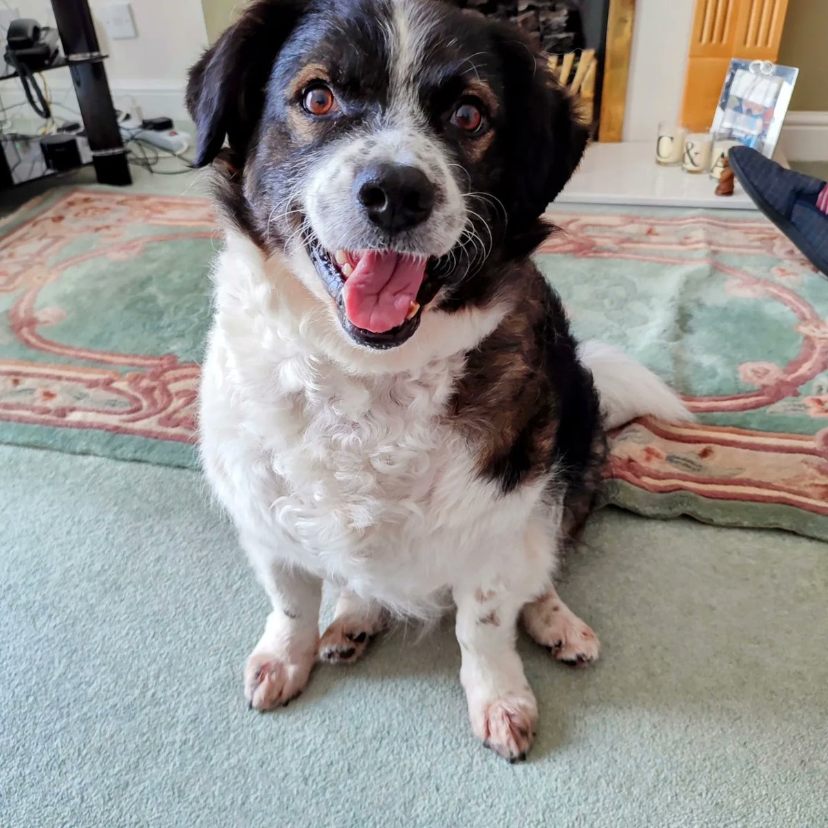 🌈🙏 Reverend Canon Catherine D Binns tweet media