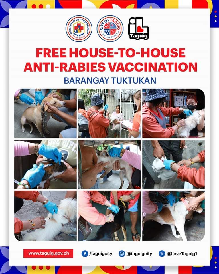 IloveTaguig1's tweet photo. Muling inilulunsad ng pamahalaang lungsod ng Taguig, sa tulong ng Office of the City Veterinarian - Taguig at City Health Office, ang house-to-house anti-rabies vaccination para sa mga alagang hayop ng mga Taguigeño.

#ilovetaguig https://t.co/ENuJw3PziV