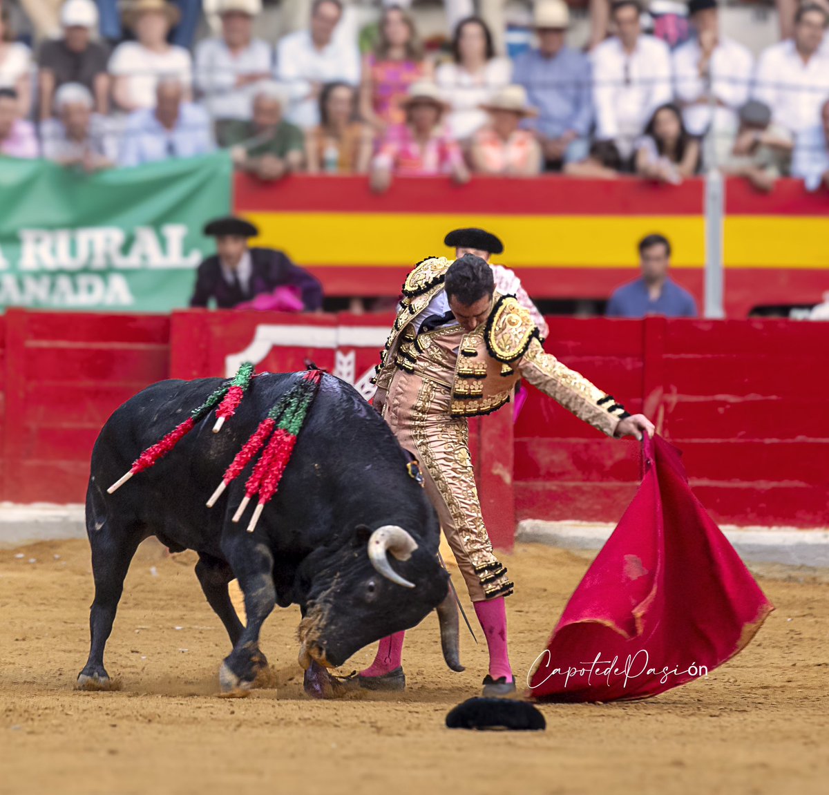 Fandi en Granada 
📸 <a href="/CapotedePasion/">Capote De Pasión</a> 
<a href="/prensaElFandi/">Prensa ‘El Fandi’</a> <a href="/DFelFandi/">David Fandila</a> <a href="/Fandioficial/">ElFandi</a> <a href="/FansElFandi/">Fans El Fandi</a> 
#corpusgranada2024