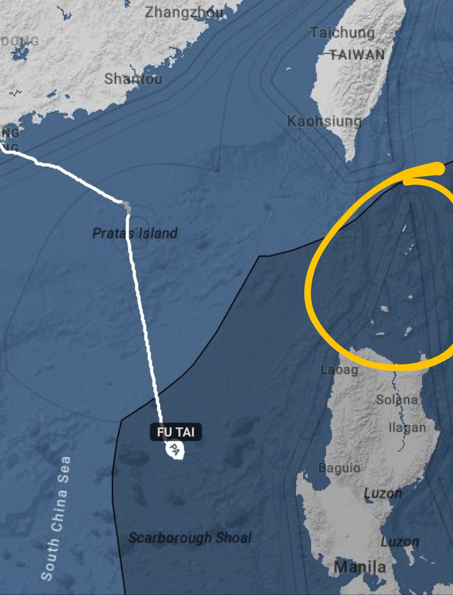 🐰 The Shaded Company of Thea Tan 🐇 tweet media