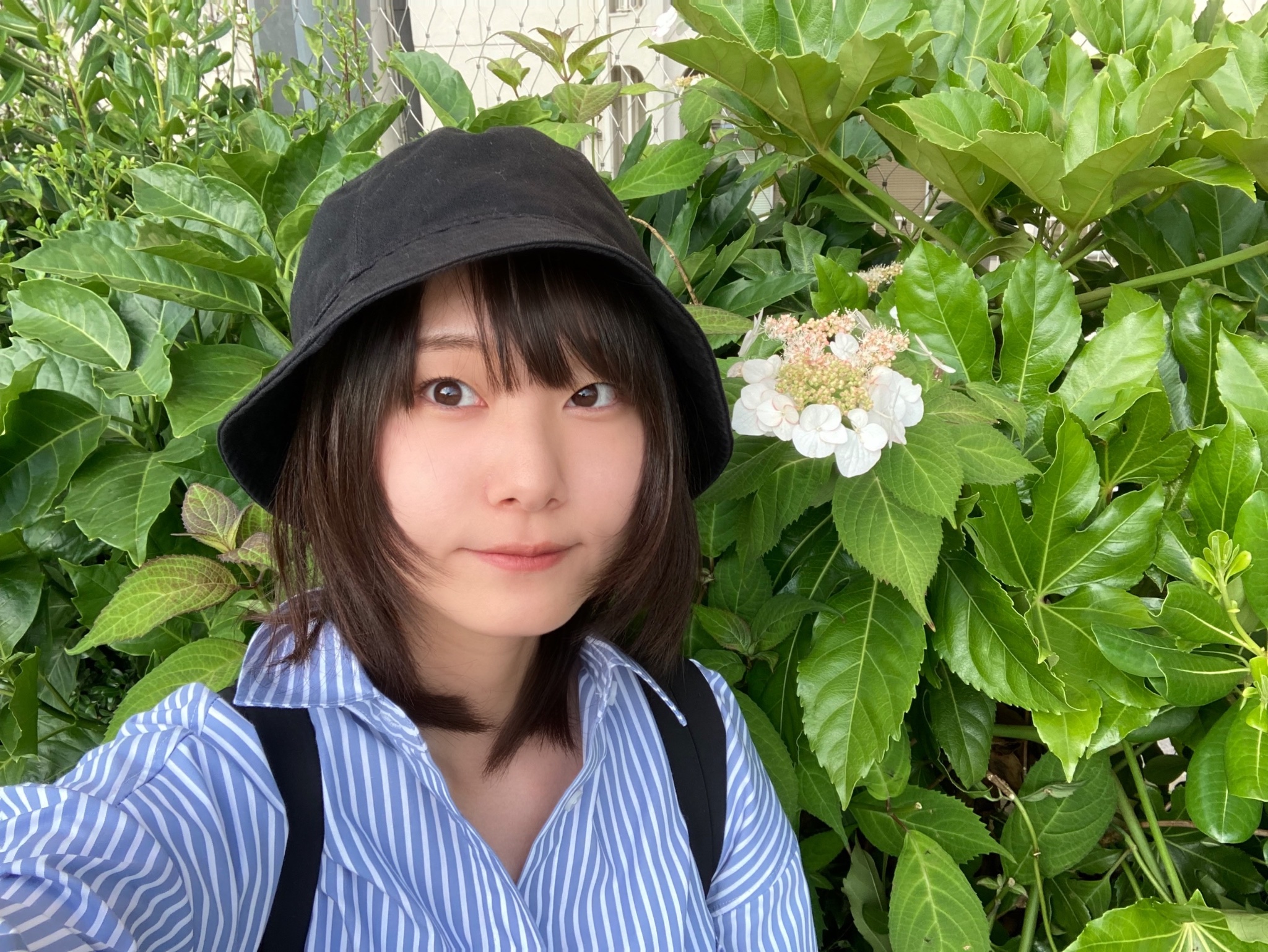 川口桜 on X: 