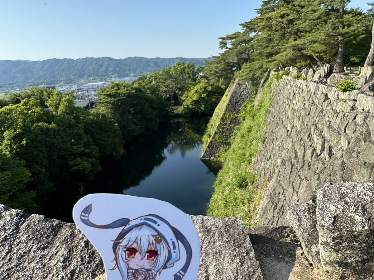 ABteElysa's tweet photo. 「高石垣！　高石垣！！　高石垣！！！　写真じゃ伝わり切らないこの高さ！！　マジ大胆なプロポーション！！　わぁーーテンションアガるアガるヤバいヤバい測りたい！(ﾜｷﾜｷﾜｷ)」妹「姉貴危ないって！　身を乗り出すのはマズいって！」
※安全には十分配慮して撮影しています。カメラパワー。 https://t.co/XO6vS9USll