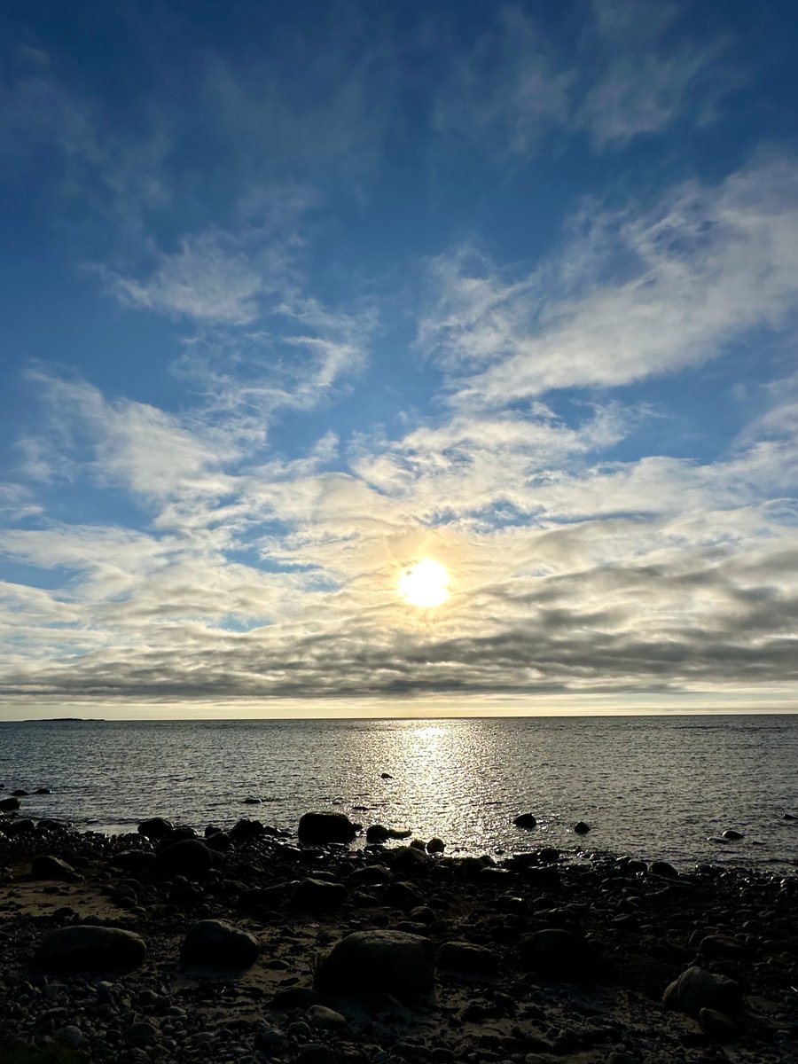 Sunset tweet media